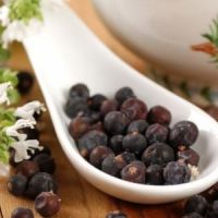 Народные финские рецепты здоровья - лечение паутиной